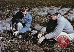 Image arachides à partir de graines irradiées Raleigh North Carolina United States USA, 1957, de la seconde 42 séquences d'archives historiques vidéo 65675023830