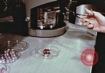 Standbild Advent der zahnärztlichen Fluorid-Behandlungen United States USA, 1957, aus Sekunde 49 historischem Filmmaterial Videoclip 65675023832