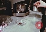 Standbild Advent der zahnärztlichen Fluorid-Behandlungen United States USA, 1957, aus Sekunde 53 historischem Filmmaterial Videoclip 65675023832