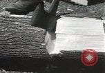 Image concours de sciage et de broyage Skytop Pennsylvania USA, 1949, de la seconde 28 séquences d'archives historiques vidéo 65675023842