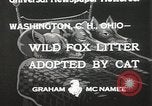 Standbild Würfe von Fox Washington Court Houes Ohio USA, 1933, aus Sekunde 4 historischem Filmmaterial Videoclip 65675023847
