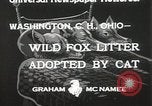 Standbild Würfe von Fox Washington Court Houes Ohio USA, 1933, aus Sekunde 5 historischem Filmmaterial Videoclip 65675023847