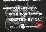 Standbild Würfe von Fox Washington Court Houes Ohio USA, 1933, aus Sekunde 7 historischem Filmmaterial Videoclip 65675023847