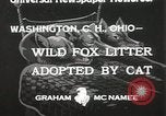 Standbild Würfe von Fox Washington Court Houes Ohio USA, 1933, aus Sekunde 9 historischem Filmmaterial Videoclip 65675023847