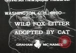 Standbild Würfe von Fox Washington Court Houes Ohio USA, 1933, aus Sekunde 10 historischem Filmmaterial Videoclip 65675023847