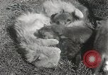 Standbild Würfe von Fox Washington Court Houes Ohio USA, 1933, aus Sekunde 18 historischem Filmmaterial Videoclip 65675023847