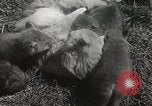 Standbild Würfe von Fox Washington Court Houes Ohio USA, 1933, aus Sekunde 20 historischem Filmmaterial Videoclip 65675023847