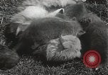 Standbild Würfe von Fox Washington Court Houes Ohio USA, 1933, aus Sekunde 22 historischem Filmmaterial Videoclip 65675023847