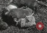 Standbild Würfe von Fox Washington Court Houes Ohio USA, 1933, aus Sekunde 23 historischem Filmmaterial Videoclip 65675023847