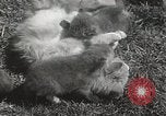 Standbild Würfe von Fox Washington Court Houes Ohio USA, 1933, aus Sekunde 25 historischem Filmmaterial Videoclip 65675023847