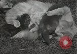 Standbild Würfe von Fox Washington Court Houes Ohio USA, 1933, aus Sekunde 29 historischem Filmmaterial Videoclip 65675023847