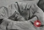 Standbild Würfe von Fox Washington Court Houes Ohio USA, 1933, aus Sekunde 38 historischem Filmmaterial Videoclip 65675023847