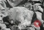 Standbild Würfe von Fox Washington Court Houes Ohio USA, 1933, aus Sekunde 53 historischem Filmmaterial Videoclip 65675023847
