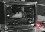 Image of model futuristic kitchen United States USA, 1950, second 30 stock footage video 65675023859
