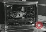 Image of model futuristic kitchen United States USA, 1950, second 33 stock footage video 65675023859