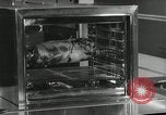 Image of model futuristic kitchen United States USA, 1950, second 35 stock footage video 65675023859