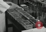 Standbild Pathologie Labor San Juan Puerto Rico, 1946, aus Sekunde 48 historischem Filmmaterial Videoclip 65675023862