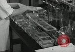 Standbild Pathologie Labor San Juan Puerto Rico, 1946, aus Sekunde 49 historischem Filmmaterial Videoclip 65675023862