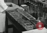 Standbild Pathologie Labor San Juan Puerto Rico, 1946, aus Sekunde 52 historischem Filmmaterial Videoclip 65675023862
