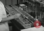 Standbild Pathologie Labor San Juan Puerto Rico, 1946, aus Sekunde 55 historischem Filmmaterial Videoclip 65675023862