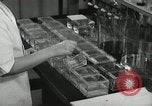 Standbild Pathologie Labor San Juan Puerto Rico, 1946, aus Sekunde 56 historischem Filmmaterial Videoclip 65675023862
