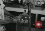 Standbild Pathologie Labor San Juan Puerto Rico, 1946, aus Sekunde 51 historischem Filmmaterial Videoclip 65675023865
