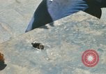 Immagine di USS CoConino County Da Nang Vietnam, 1967, secondo 47 filmato di repertorio 65675023893