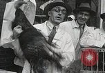 Standbild Türkei plucker Wettbewerb New York United States USA, 1930, aus Sekunde 29 historischem Filmmaterial Videoclip 65675023909