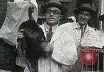 Standbild Türkei plucker Wettbewerb New York United States USA, 1930, aus Sekunde 32 historischem Filmmaterial Videoclip 65675023909