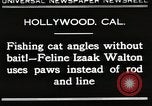 Immagine di Cat Izaak Walton Hollywood Los Angeles California USA, 1930, secondo 1 filmato di repertorio 65675023911
