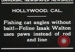 Immagine di Cat Izaak Walton Hollywood Los Angeles California USA, 1930, secondo 3 filmato di repertorio 65675023911