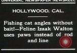 Immagine di Cat Izaak Walton Hollywood Los Angeles California USA, 1930, secondo 4 filmato di repertorio 65675023911