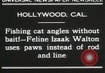 Immagine di Cat Izaak Walton Hollywood Los Angeles California USA, 1930, secondo 5 filmato di repertorio 65675023911