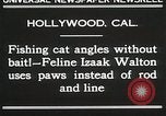 Immagine di Cat Izaak Walton Hollywood Los Angeles California USA, 1930, secondo 6 filmato di repertorio 65675023911