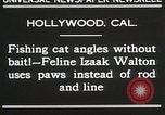 Immagine di Cat Izaak Walton Hollywood Los Angeles California USA, 1930, secondo 7 filmato di repertorio 65675023911