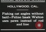 Immagine di Cat Izaak Walton Hollywood Los Angeles California USA, 1930, secondo 8 filmato di repertorio 65675023911