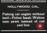 Immagine di Cat Izaak Walton Hollywood Los Angeles California USA, 1930, secondo 9 filmato di repertorio 65675023911