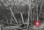 Immagine di Cat Izaak Walton Hollywood Los Angeles California USA, 1930, secondo 38 filmato di repertorio 65675023911