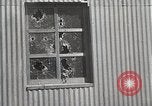 Image Liqueur fédéral durant la prohibition raid Downey California USA, 1932, de la seconde 41 séquences d'archives historiques vidéo 65675023913