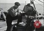 Immagine di Coast Guard perseguire bootlegger in divieto Long Island New York USA, 1933, secondo 36 filmato di repertorio 65675023920