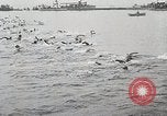 Immagine di Maratona di Ontario nuotare Toronto Ontario Canada, 1930, secondo 27 filmato di repertorio 65675023926
