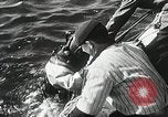 Standbild Schiffsrumpf des Schiffes Victoria Sandy Hook New Jersey USA, 1930, aus Sekunde 58 historischem Filmmaterial Videoclip 65675023944