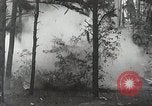 Image probition raid United States USA, 1931, de la seconde 6 séquences d'archives historiques vidéo 65675023947