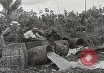 Image probition raid United States USA, 1931, de la seconde 30 séquences d'archives historiques vidéo 65675023947