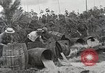 Image probition raid United States USA, 1931, de la seconde 31 séquences d'archives historiques vidéo 65675023947
