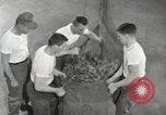 Image of Air-drop procedures United States USA, 1967, second 51 stock footage video 65675023962