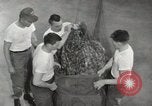 Image of Air-drop procedures United States USA, 1967, second 52 stock footage video 65675023962