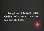 Image of African American farmers treat cotton for boll weevils United States USA, 1921, second 3 stock footage video 65675023990