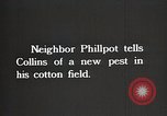 Image of African American farmers treat cotton for boll weevils United States USA, 1921, second 4 stock footage video 65675023990