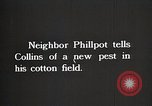 Image of African American farmers treat cotton for boll weevils United States USA, 1921, second 5 stock footage video 65675023990